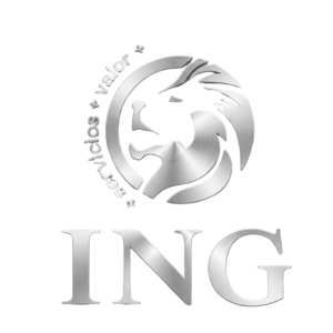 CLIENTES SEGUROS ING